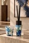 Sueuos Glass Candle Diffuser Gift Set
